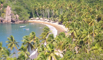 Yammine playas de Venezuela 2